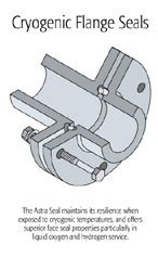 Cryogenic Flange Seals - Typical Application of Encapsulated Teflon O-Ring